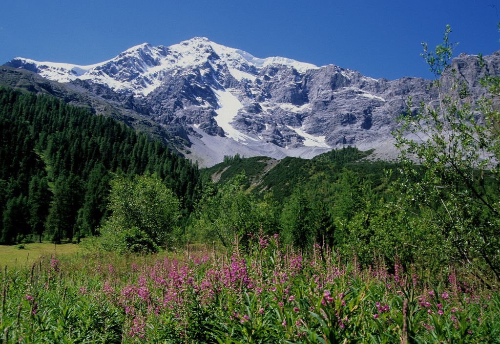 Wandern im Vinschgau