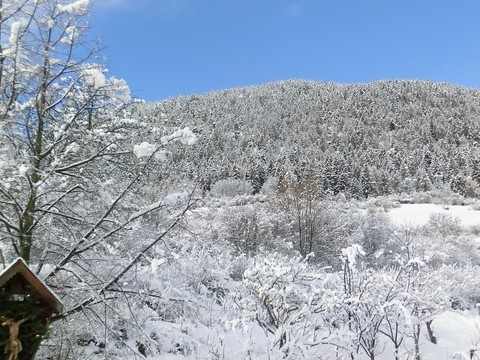 Nationalpark Stilfserjoch