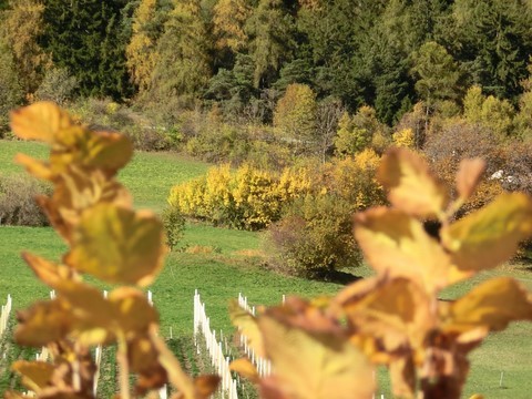 Südtirol