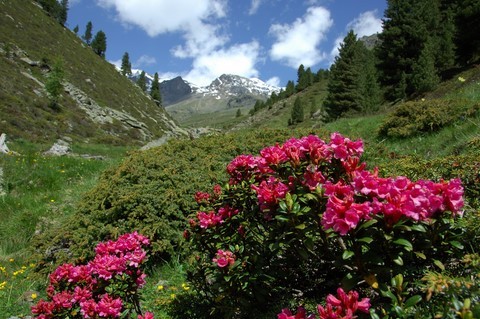 Natur genießen