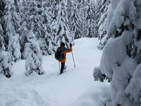 Schneeschuhwandern