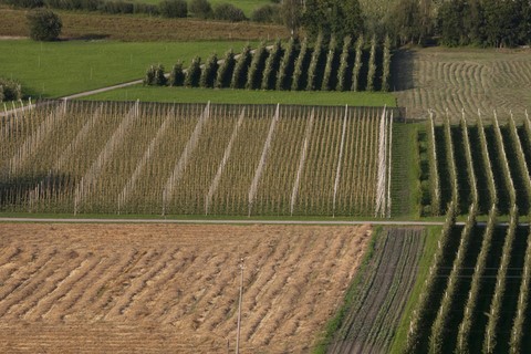 Landwirtschaft erleben