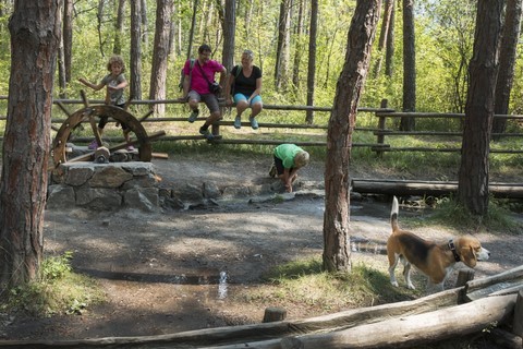 Natur erleben